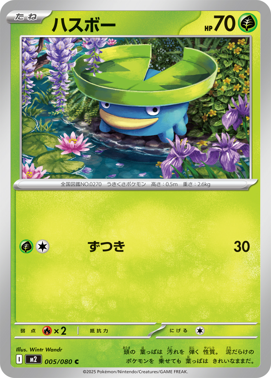 ハスボー（005/080）レアリティ：C　ポケモンカード：拡張パック「インフェルノX」