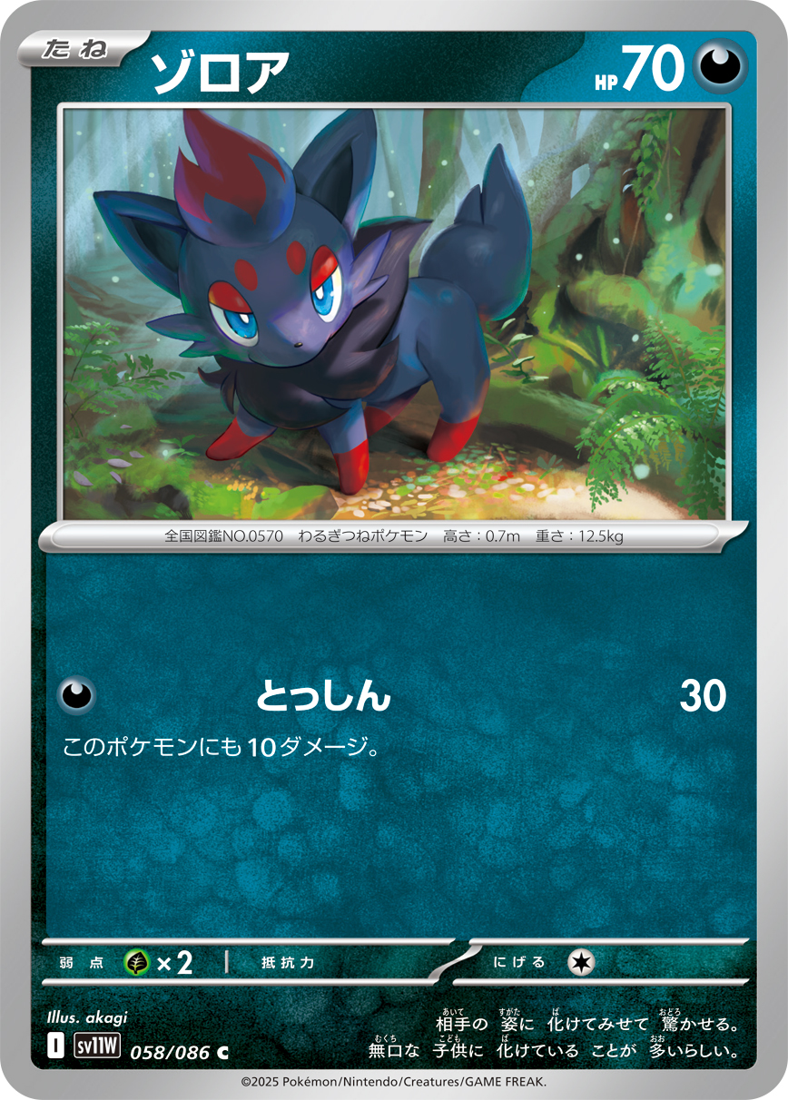 ゾロア（058/086）レアリティ:C ポケモンカード：拡張パック「ホワイトフレア」