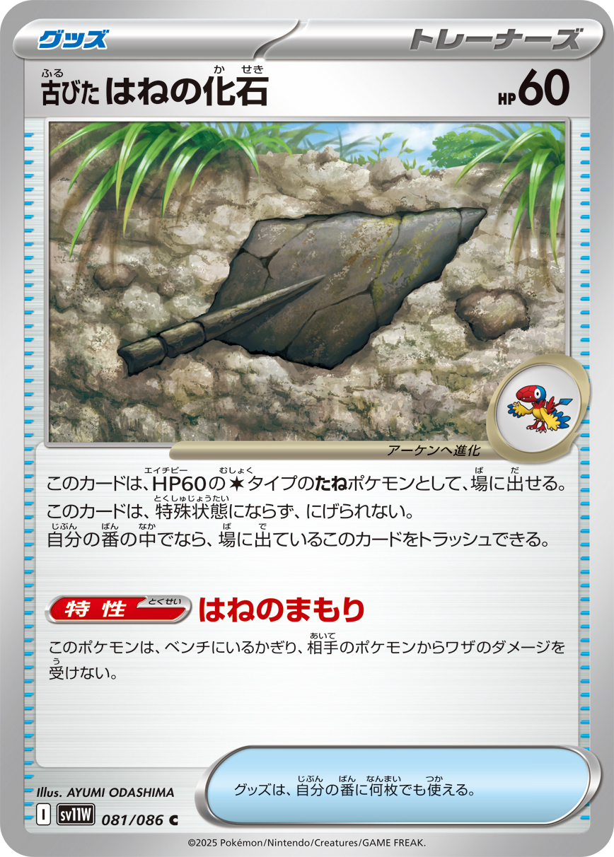古びたはねの化石（081/086）レアリティ:C ポケモンカード：拡張パック「ホワイトフレア」